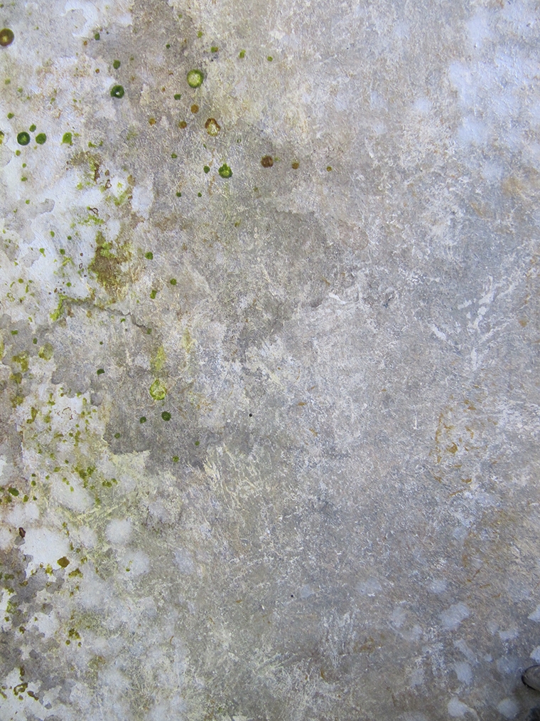 Faux Granite With Lichen Spots