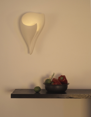 beautiful shell wall light, unlit